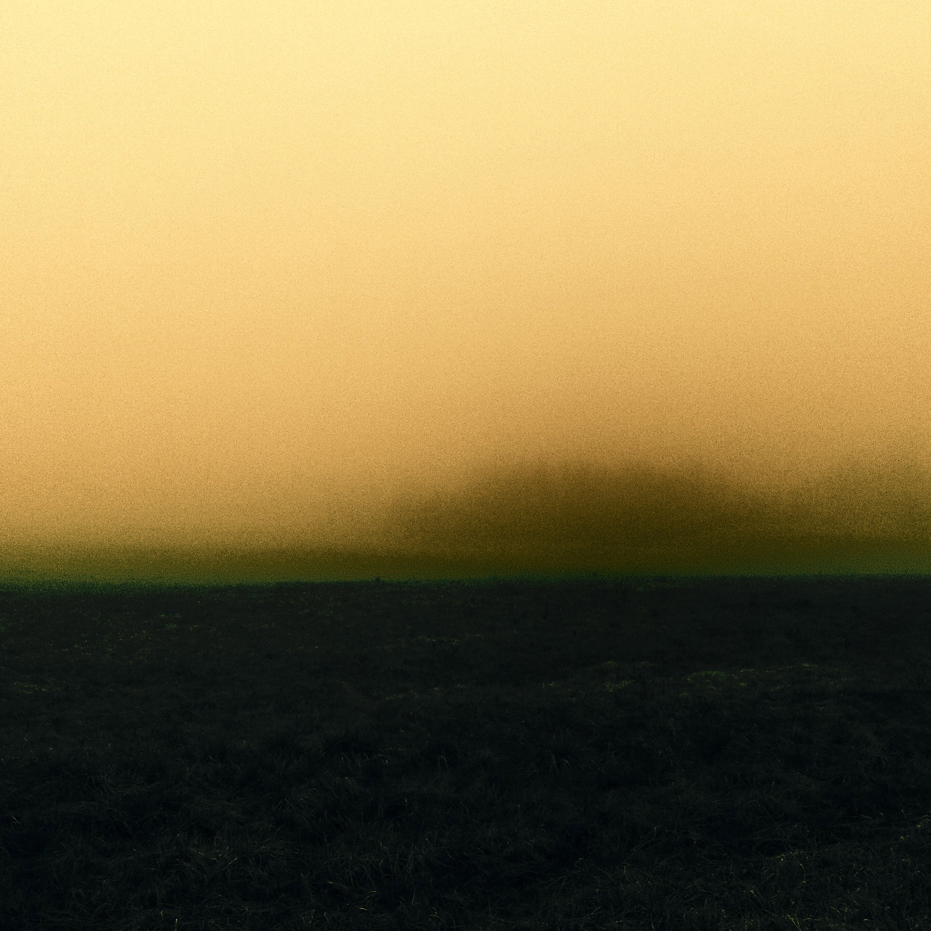 Fog landscape